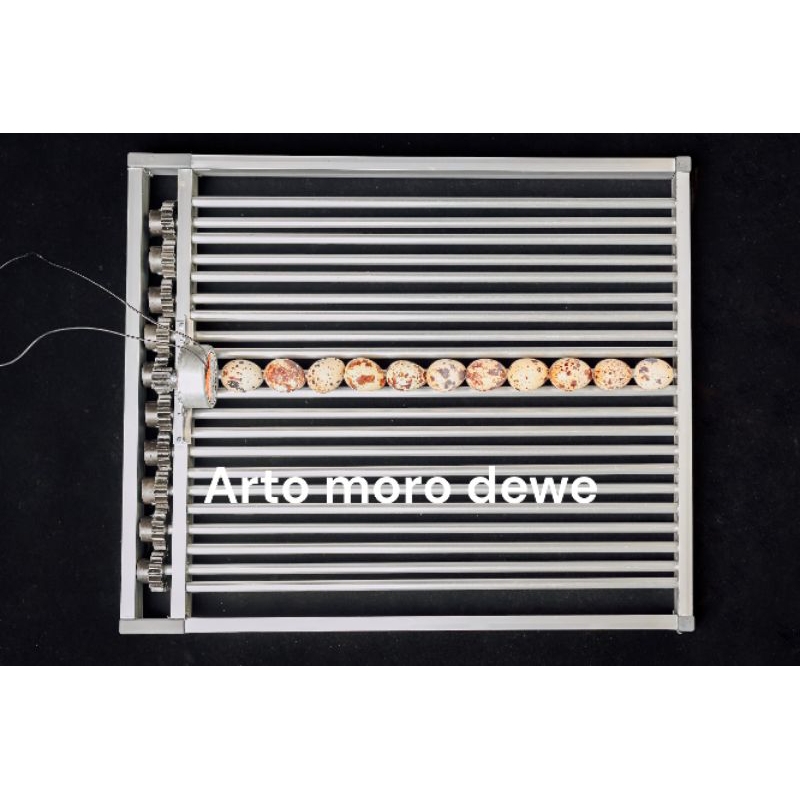 rak mesin tetas telur burung puyuh murai