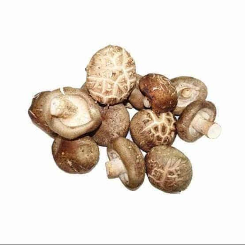 

Jamur Hioko / Shitake Mushroom 200 gram