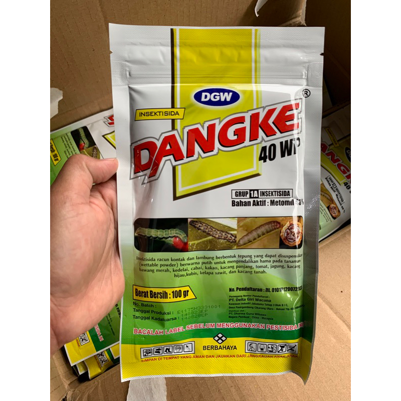 DANGKE 100gr