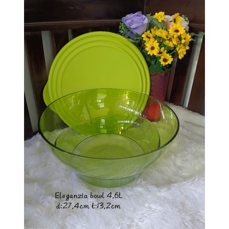 Eleganzia bowl 4,6L