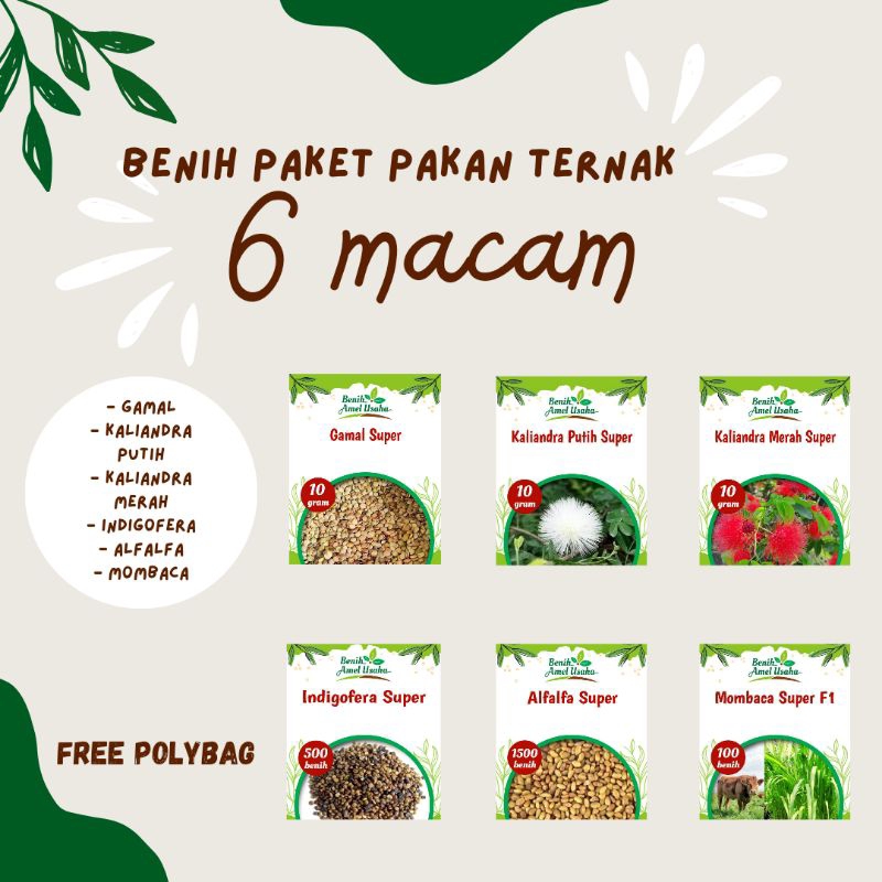 Paket pakan ternak 6 macam/ benih pakan ternak Gamal super/benih pakan ternak Kaliandra putih/benih 