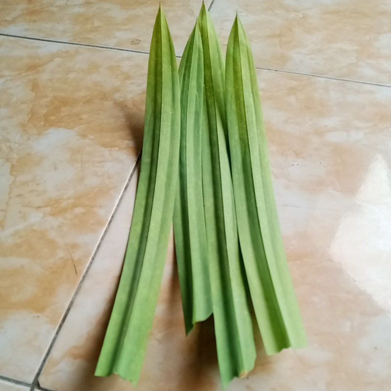

daun pandan wangi segar harga per 15 lbr