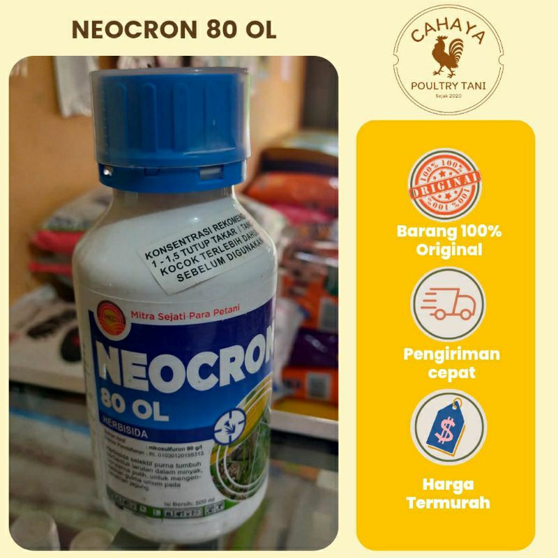 Neocron 500 ML, Herbisida Selektif Jagung