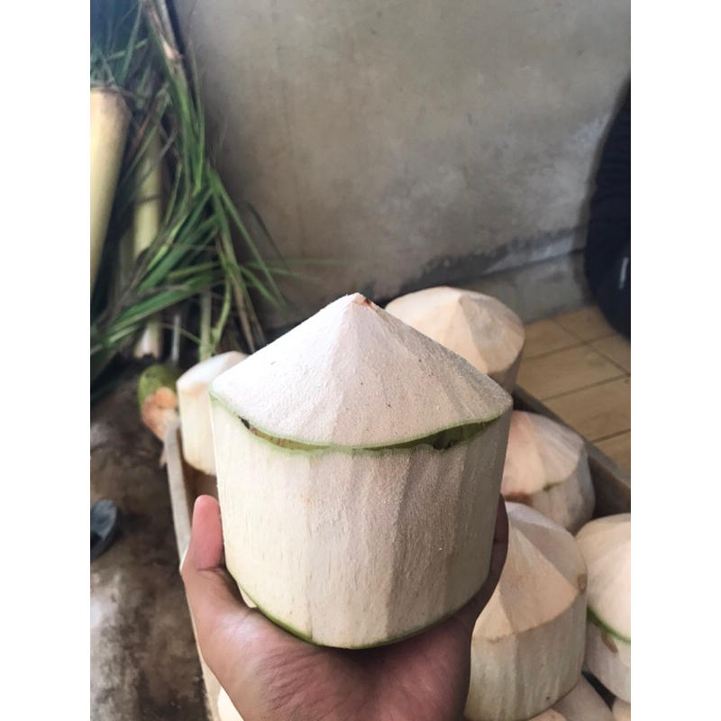 

KELAPA MUDA ( saung ceria )