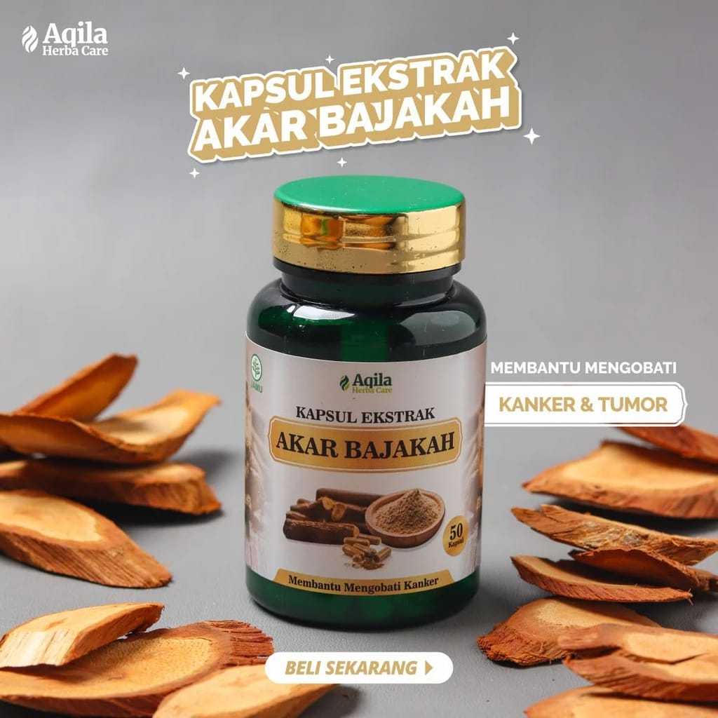 Kapsul Akar Bajakah Ekstrak 60
