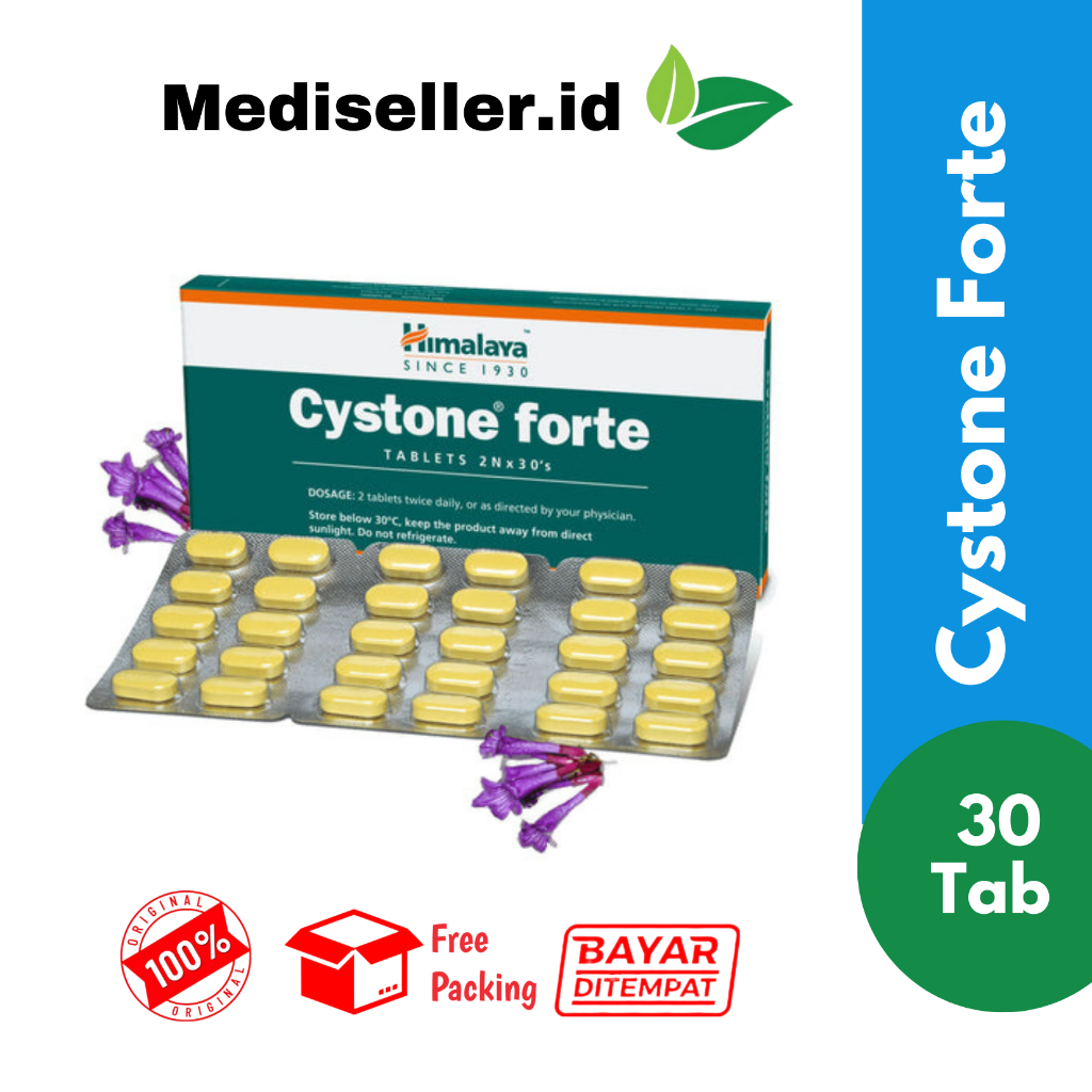 himalaya cystone forte obat infeksi saluran kemih dan batu ginjal