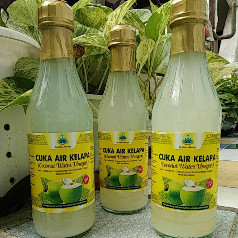 

Cuka Kelapa Air Kelapa Coconut Water Vinegar lokal Surabaya Jawa Timur Cuka Apel Apple Vinegar Vinega Finega