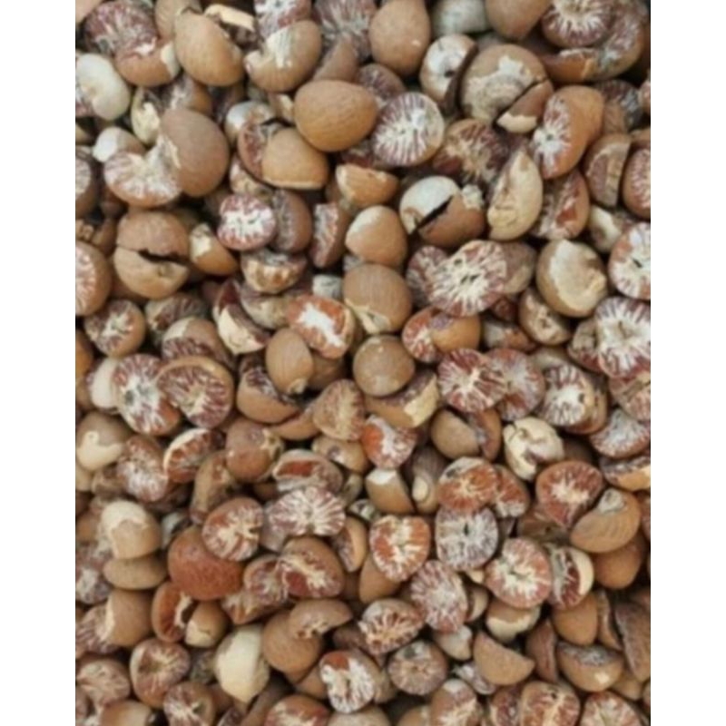 

PINANG KERING BELAH DUA ORIGINAL