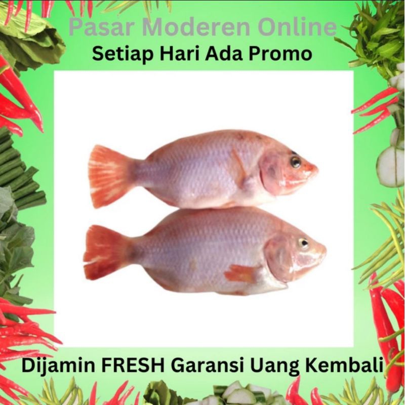 

IKAN NILA SEGAR 500 GRAM/PEDAGANG/LAPAK/BAKUL/KEDAI/WARUNG/JUAL BELI SAYUR SAYURAN DAN IKAN SEGAR TERMURAH/PASAR MODEREN ONLINE