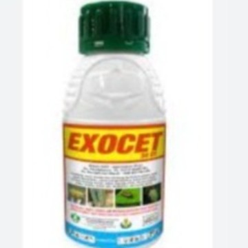 EXOCET 50EC 100 ml Sipermetrin Insektisida racun hama ulat serangga