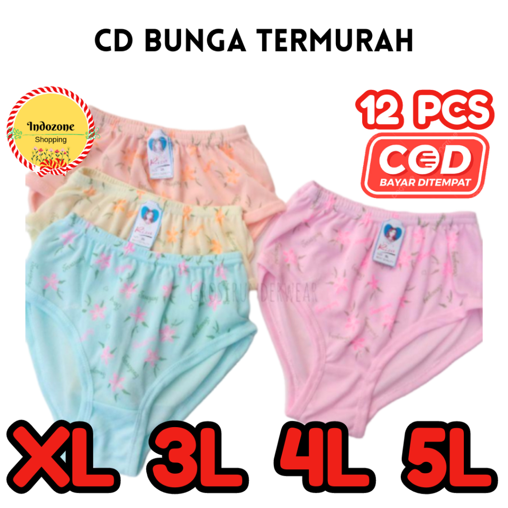 12 PCS CELANA DALAM CD WANITA HAID HAMIL HYGET JUMBO