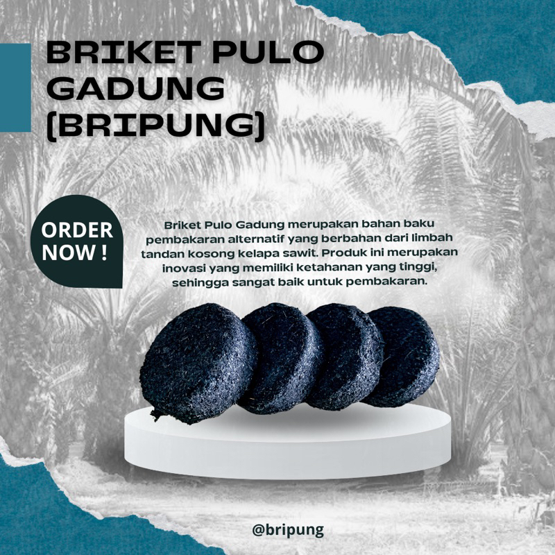 Bropung - Briket Arang Tandan Kosong kelapa Sawit Tahan Lama