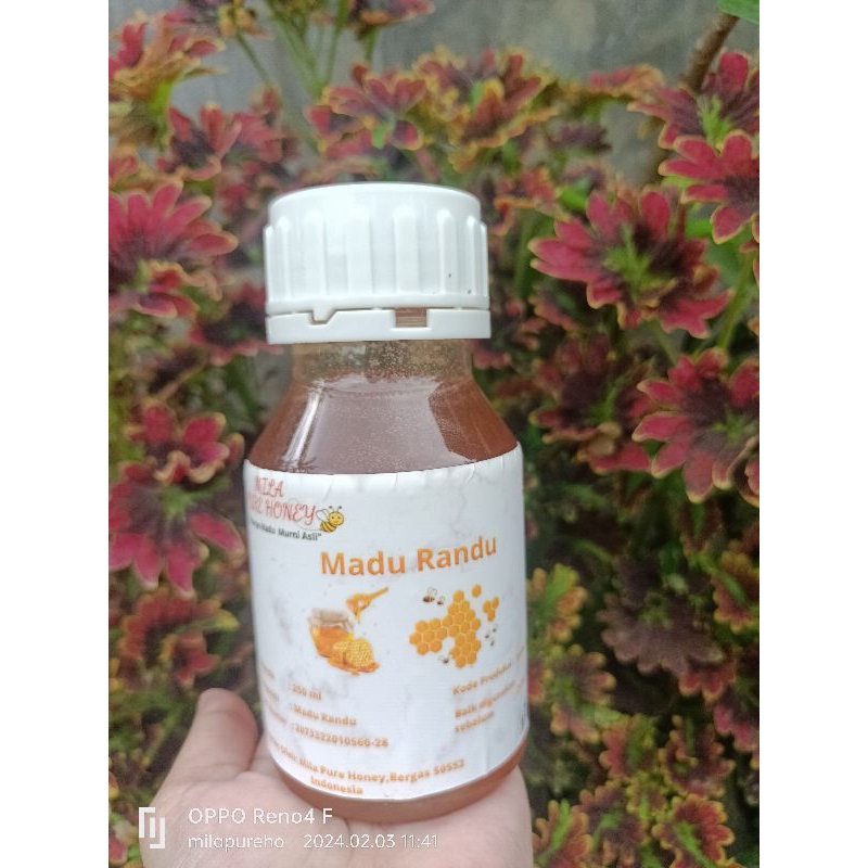 

Madu Asli Madu Randu Madu Murn 100% alamii obat alami herbal penguat imun obat batuk alami turun panas.radang kualitas super 100 % alami jaminan murni asli Milapurehoney UK 250 ml