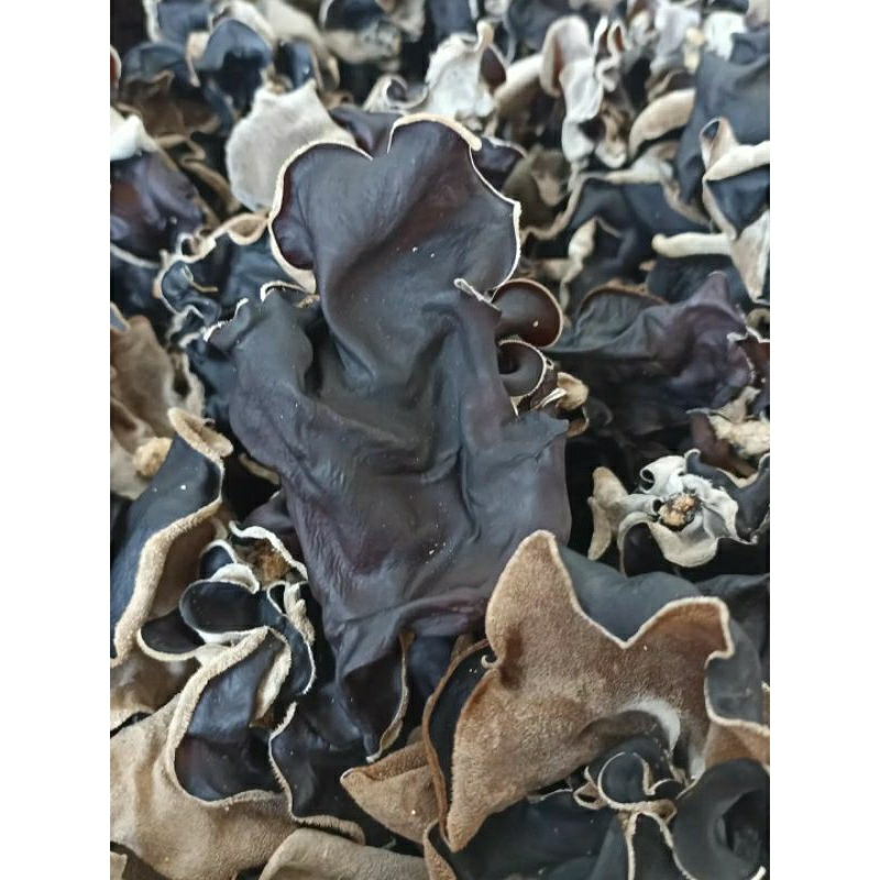 

Jamur kuping kering 1 kg / 500grm gread A super kualitas super premium