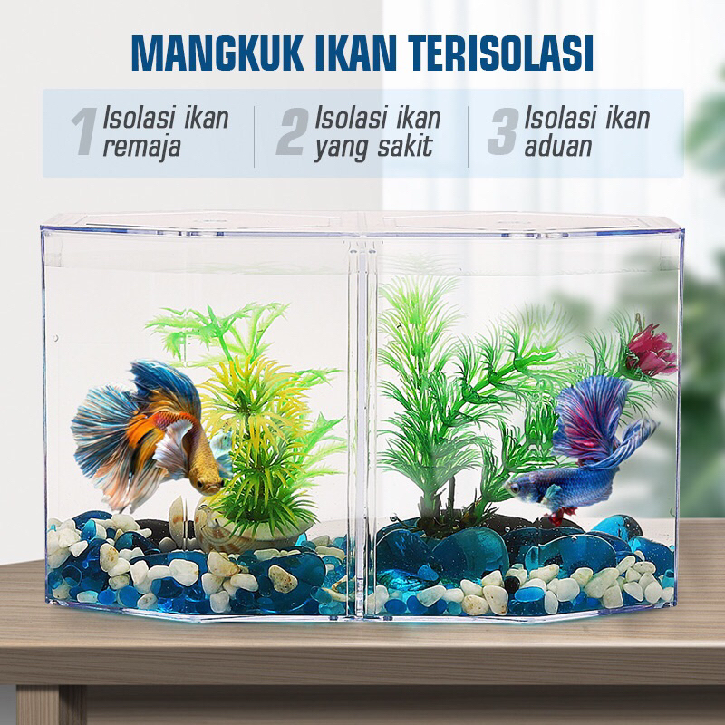 Mini Fish Tank PRESISI Aquarium Solter Cupang Sekat Akrilik Bening