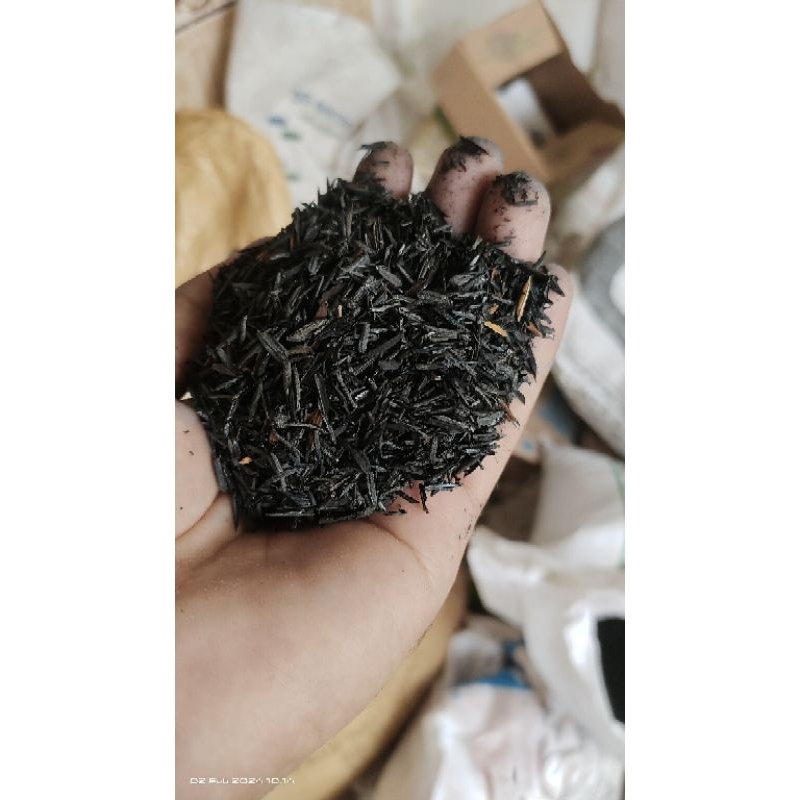 sekam bakar arang sekam padi