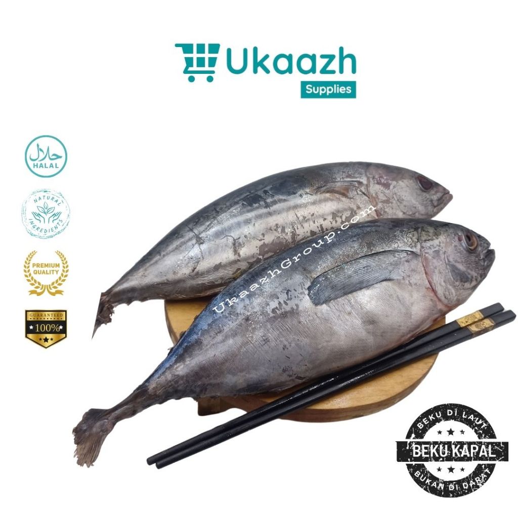 

Ukaazh Ikan Cakalang 1 Kg 1.000 Gram Beku Kapal Laut Frozen Segar