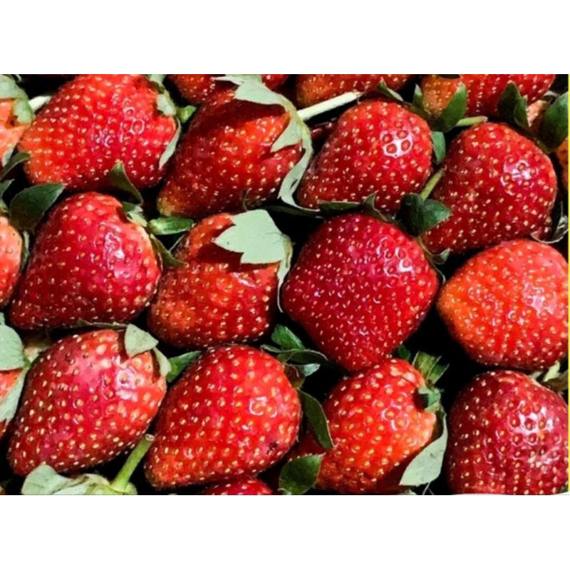 

strawberry 250 gr