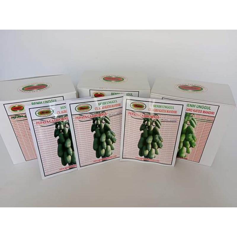 [BISA COD]Benih pepaya California ipb9