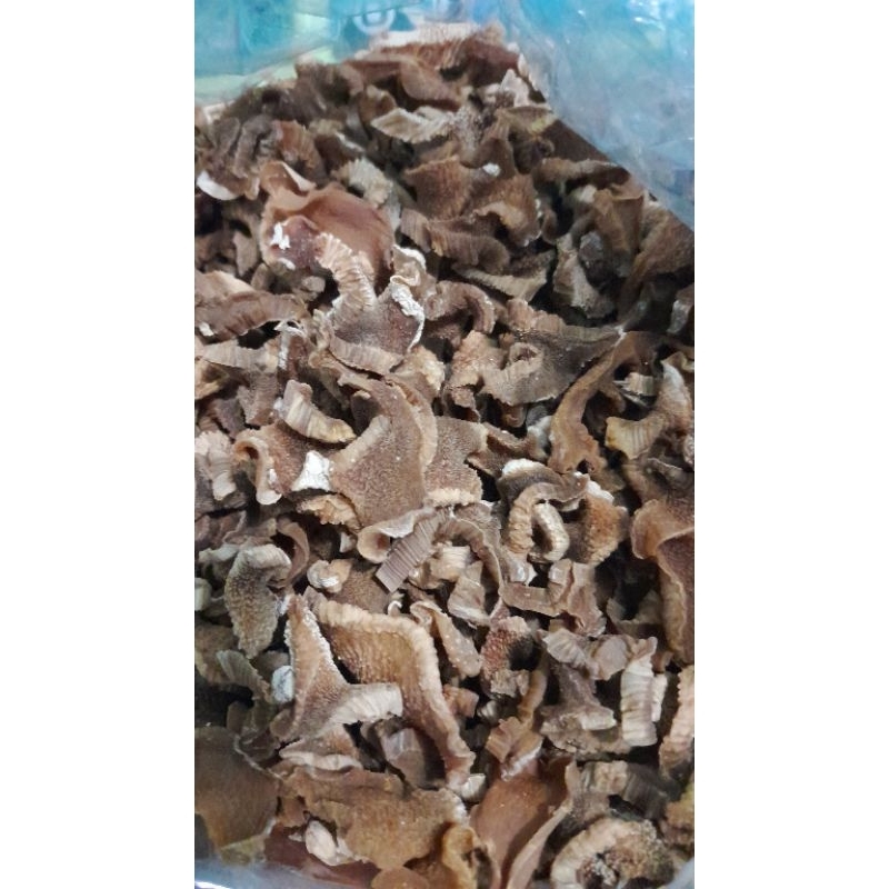 

kelingking bambu muda(bong)