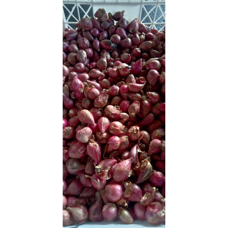 

Bawang Merah 500gr