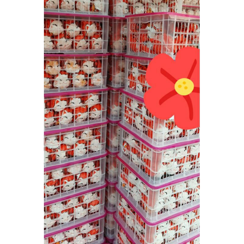 

jeruk dekopon kucing