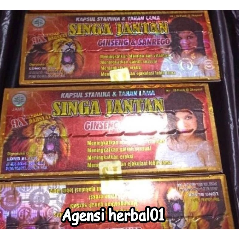 singa jantan kapsul original