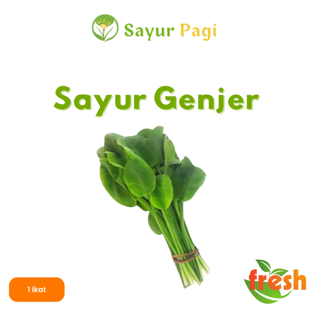 

Sayur Segar Sayur Genjer - Sayur Pagi Online