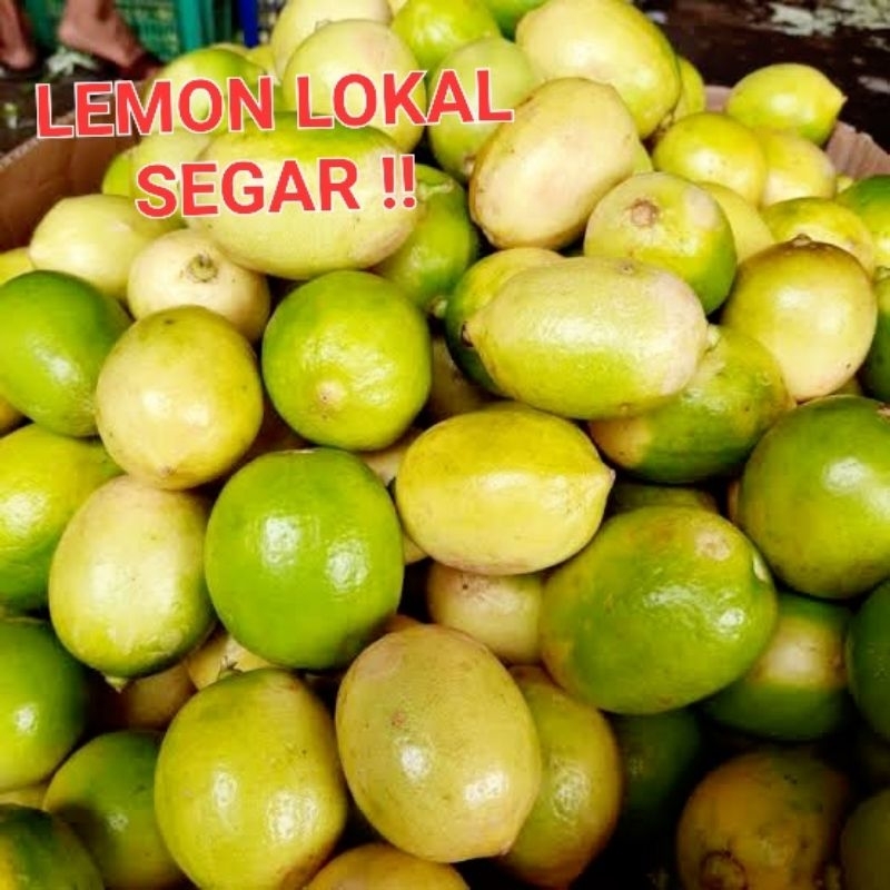 

Jeruk Lemon 500gr lokal segar