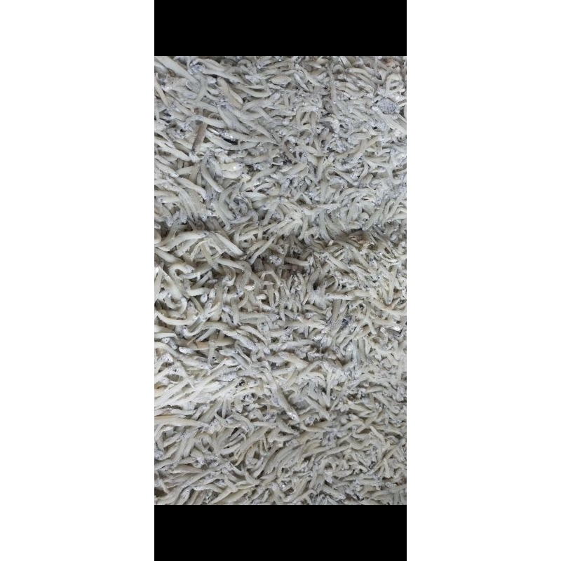 

teri indonasi kering