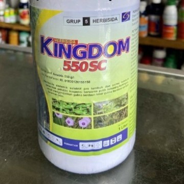 Kingdom 550SC 1 Ltr ametrin herbisida sistemik basmi gulma rumput liar