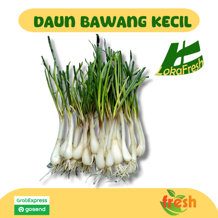 

Daun Bawang Kecil/ Spring Onion