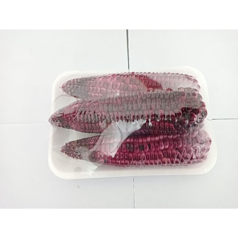 

JAGUNG KETAN UNGU ( 1 kg )