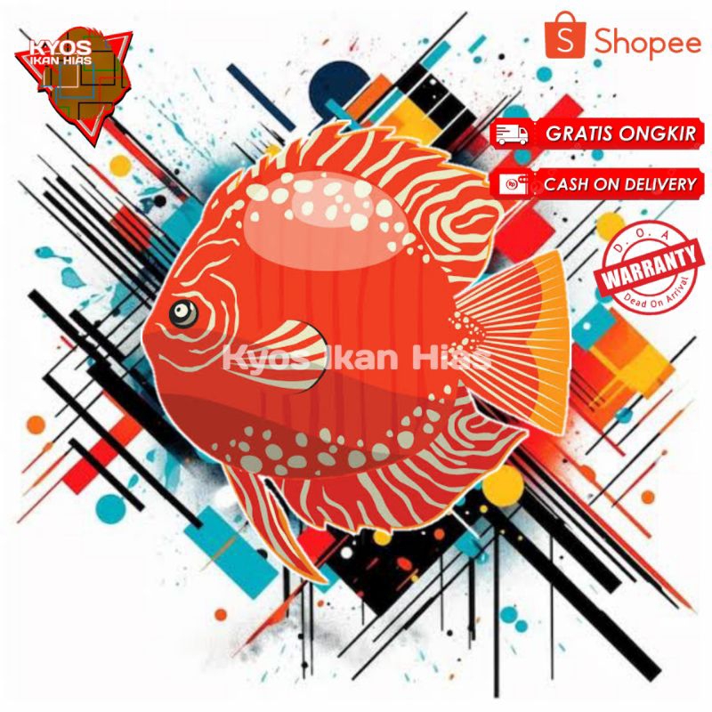 Packing Discus RedMarlboro 1cm