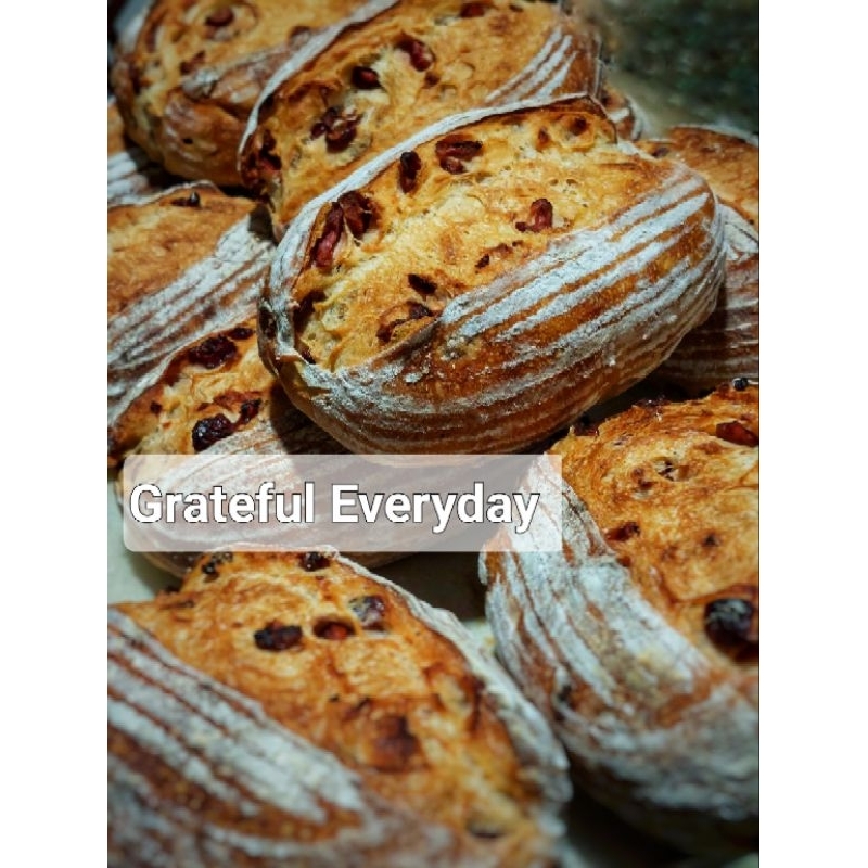 

CRANBERRY & CHEESE SOURDOUGH / ROTI SOURDOUGH / NO EGG / LOW SUGAR / CRANBERRY CHEESE BREAD