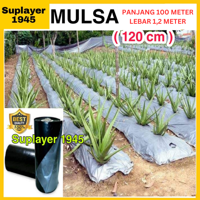 Mamacholida - Plastik Mulsa Hitam/Perak 100m x 1,2m Berkualitas Untuk Pertanian & Tanaman