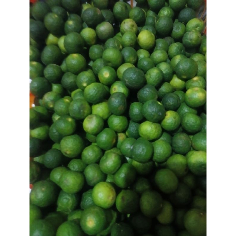 

Jeruk limau / Jeruk sambal 1Kg
