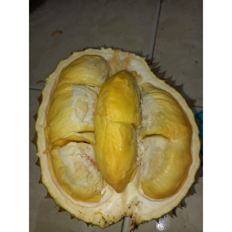 

Durian Bawor Fresh Utuh