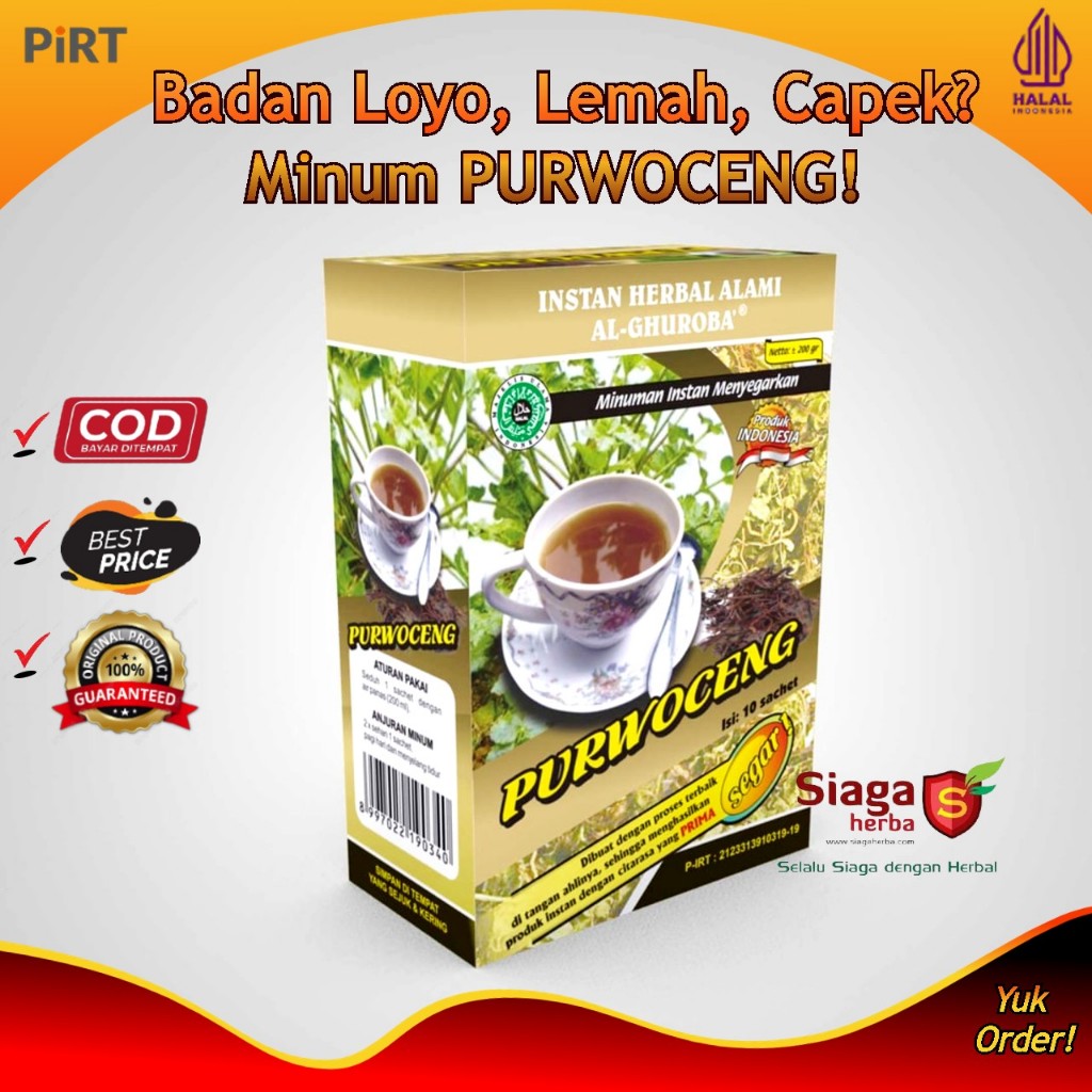 

Instan Purwoceng Antanan Gunung Purwaceng Minuman Jamu Herbal Kuat Stamina Pria 200gr Original Al-Ghuroba