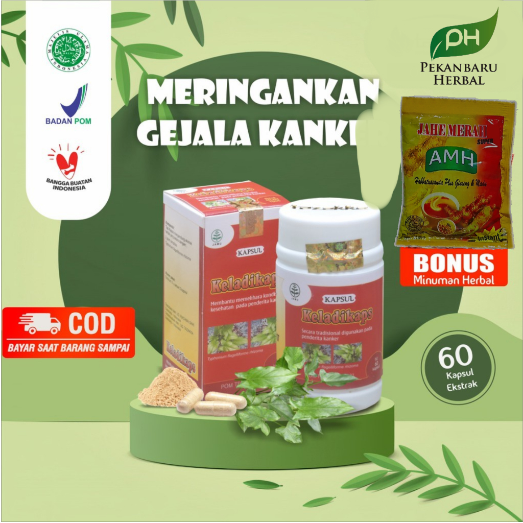Kapsul Keladi Tikus Buat Kangker Obat Kanker Payudara Yg Ampuh Herbal Tazakka Original Halal BPOM Is