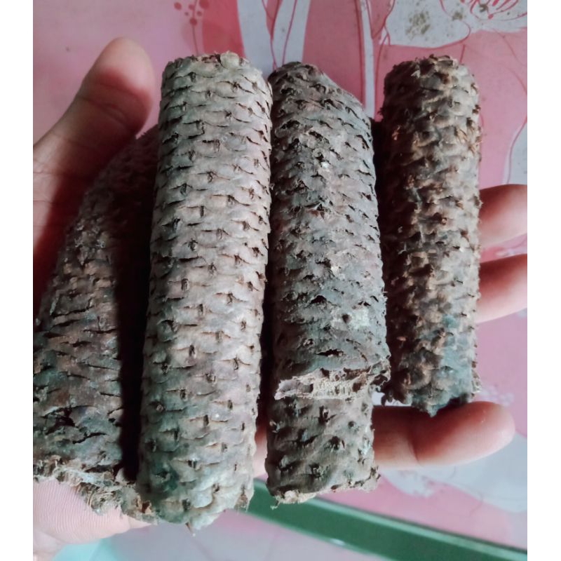 

aren lanang kering 100g