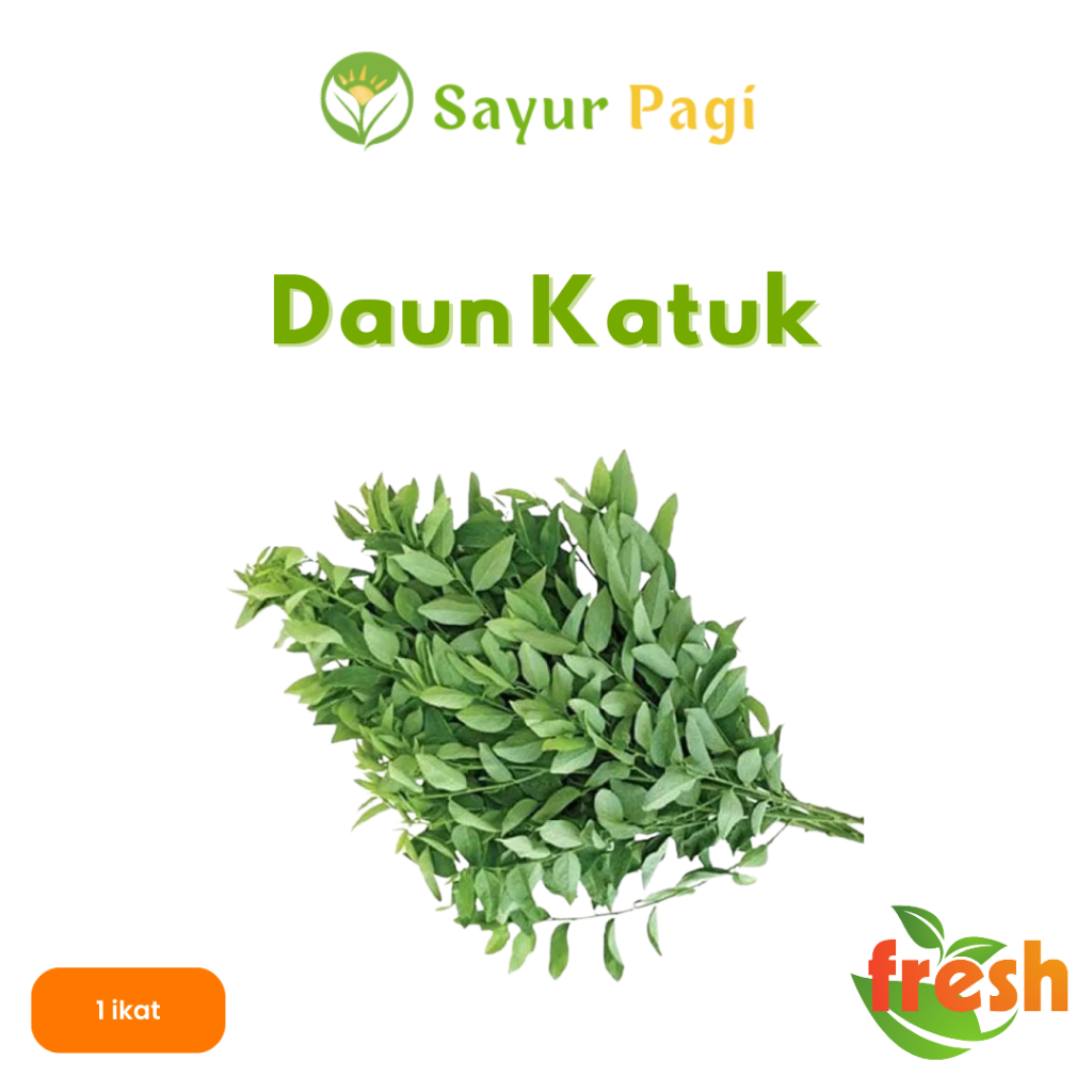 

Sayur Segar Daun Katuk - Sayur Pagi Online