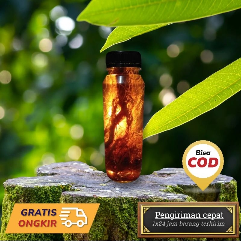 

madu gingseng
