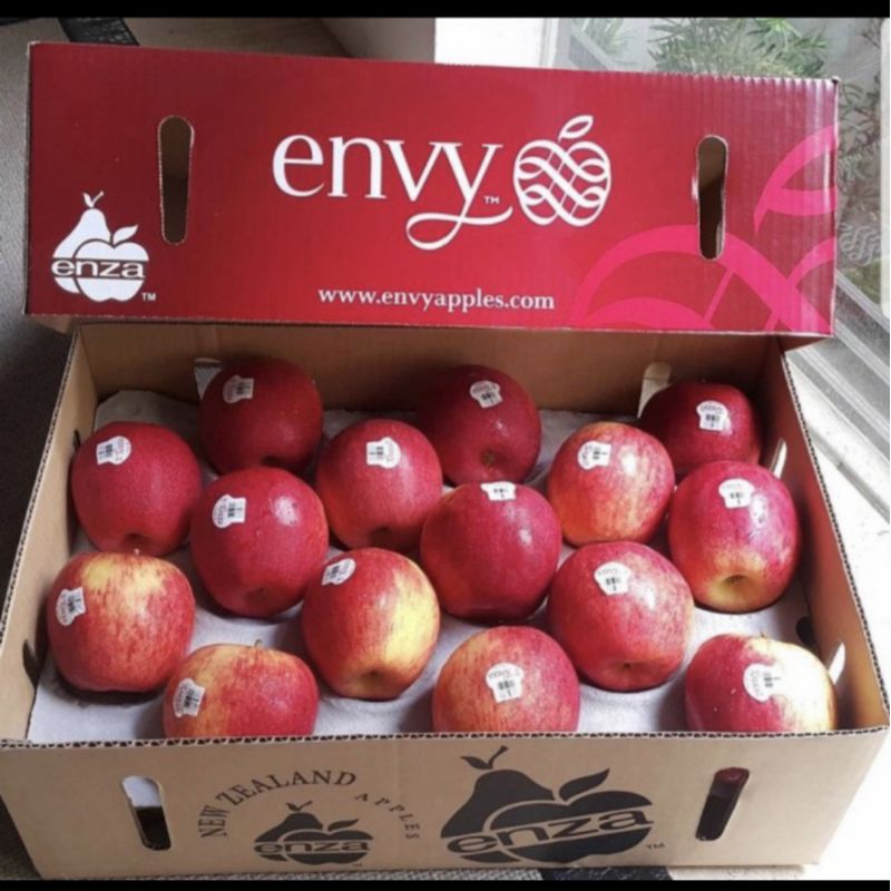 buah apel envy fresh import 1 dus