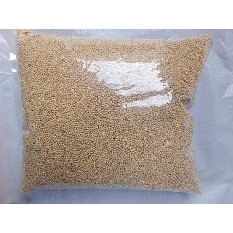 milet putih 1kg | milet putih kualitas super | pakan perkutut | pakan love bird