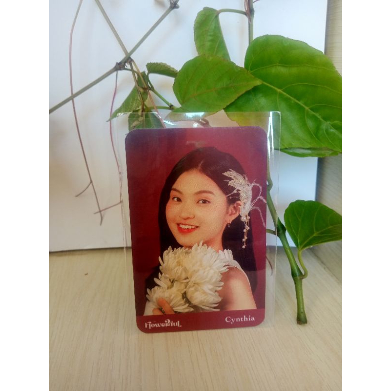 FOTOCARD JKT48 CYNTHIA FLOWERFULL 2023