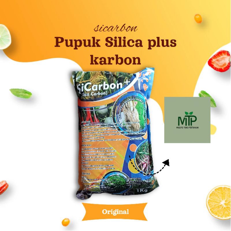 pupuk cabe sicarbon