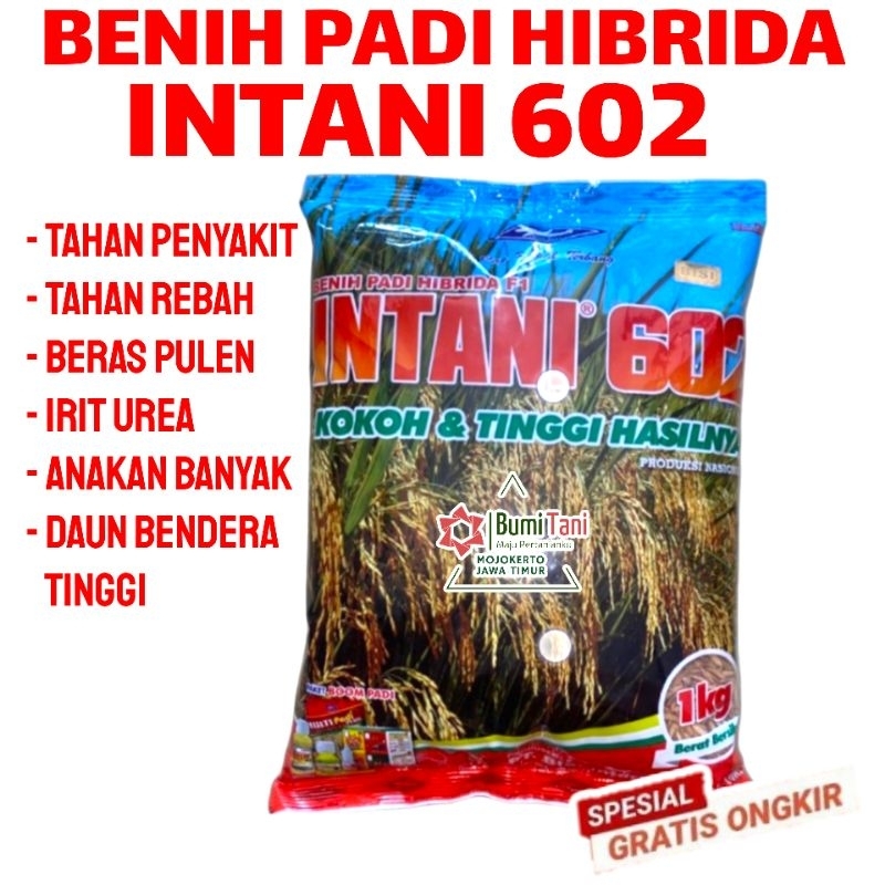 INTANI 602 BENIH PADI HIBRIDA TAHAN BLAST