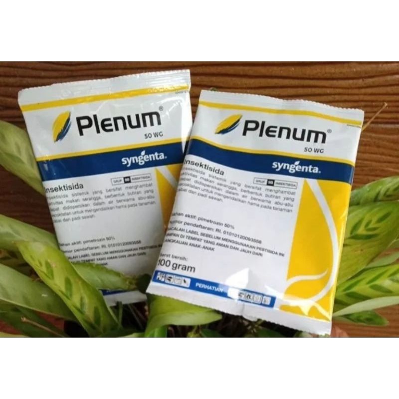 PLENUM 50 WG (100gr)