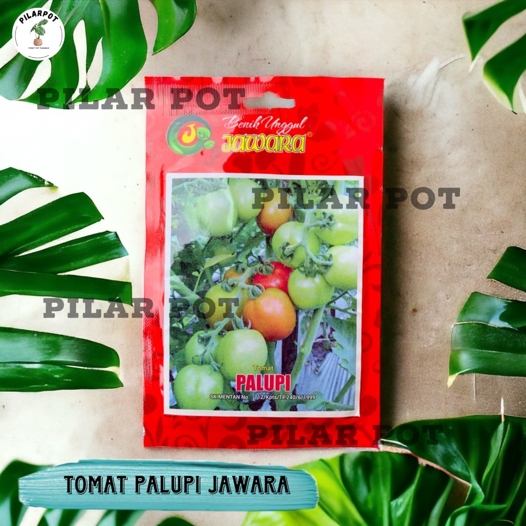 Benih Bibit Tomat Palupi Benih Unggul Jawara - TOMAT PALUPI